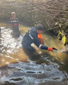 +++Frühjahrsputz in Tullnerbach mit Unterstützung der Feuerwehr+++